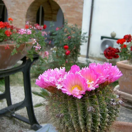 Relais Rossi 3* سيلفي مارينا