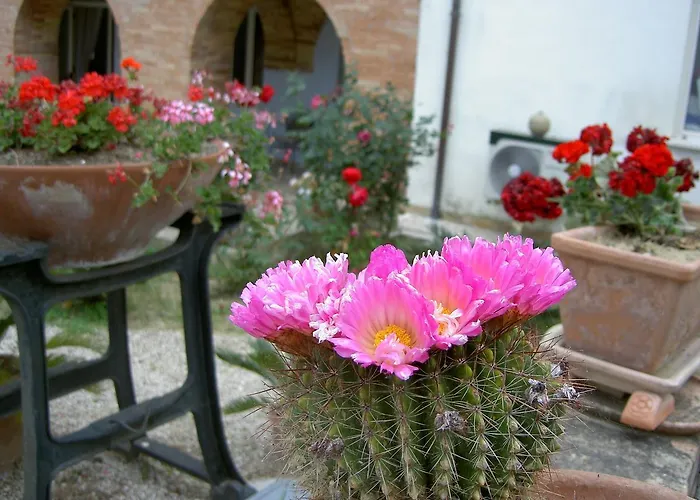 Relais Rossi 3* シルヴィ・マリーナ